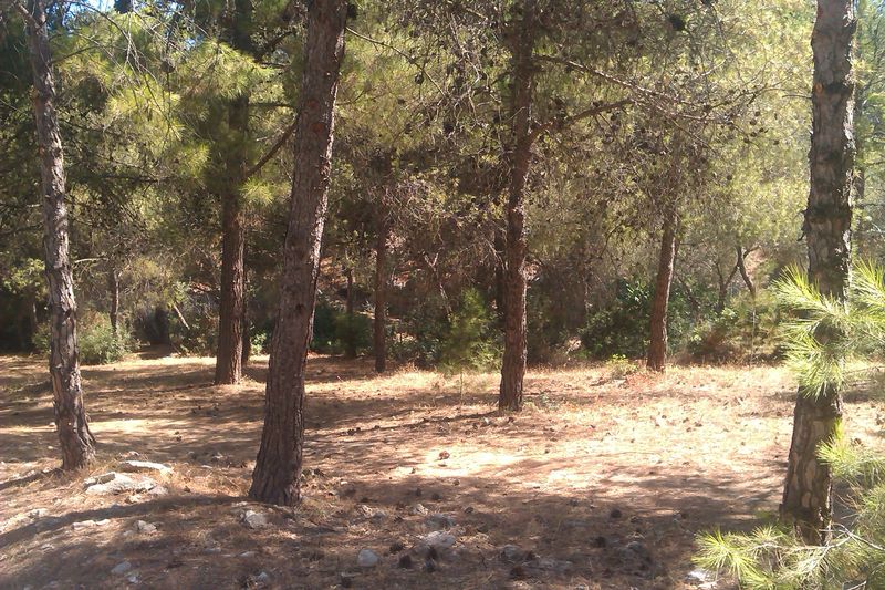 Ακρωτηρίου
